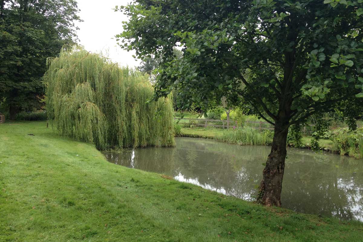 Water Restoration Project