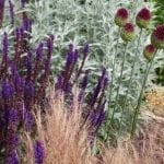 garden design colour scheme