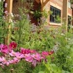 garden design pink flowers