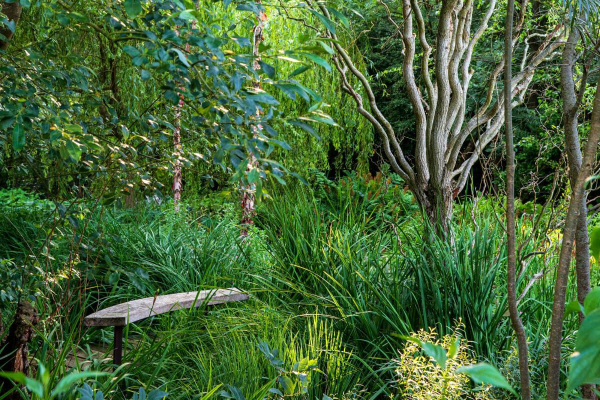 garden-design-Wood