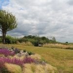 garden review windswept