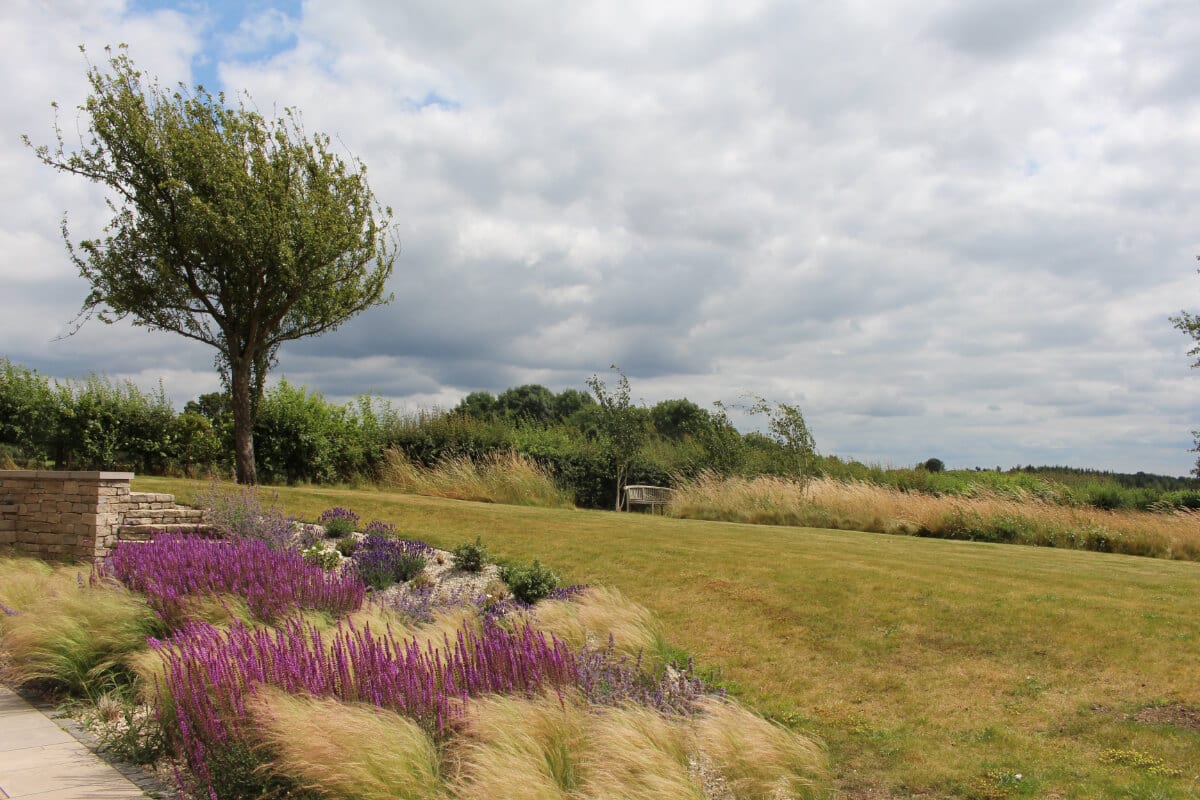 garden review windswept