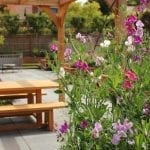 garden design scented flowers