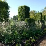 The extended herbaceous border