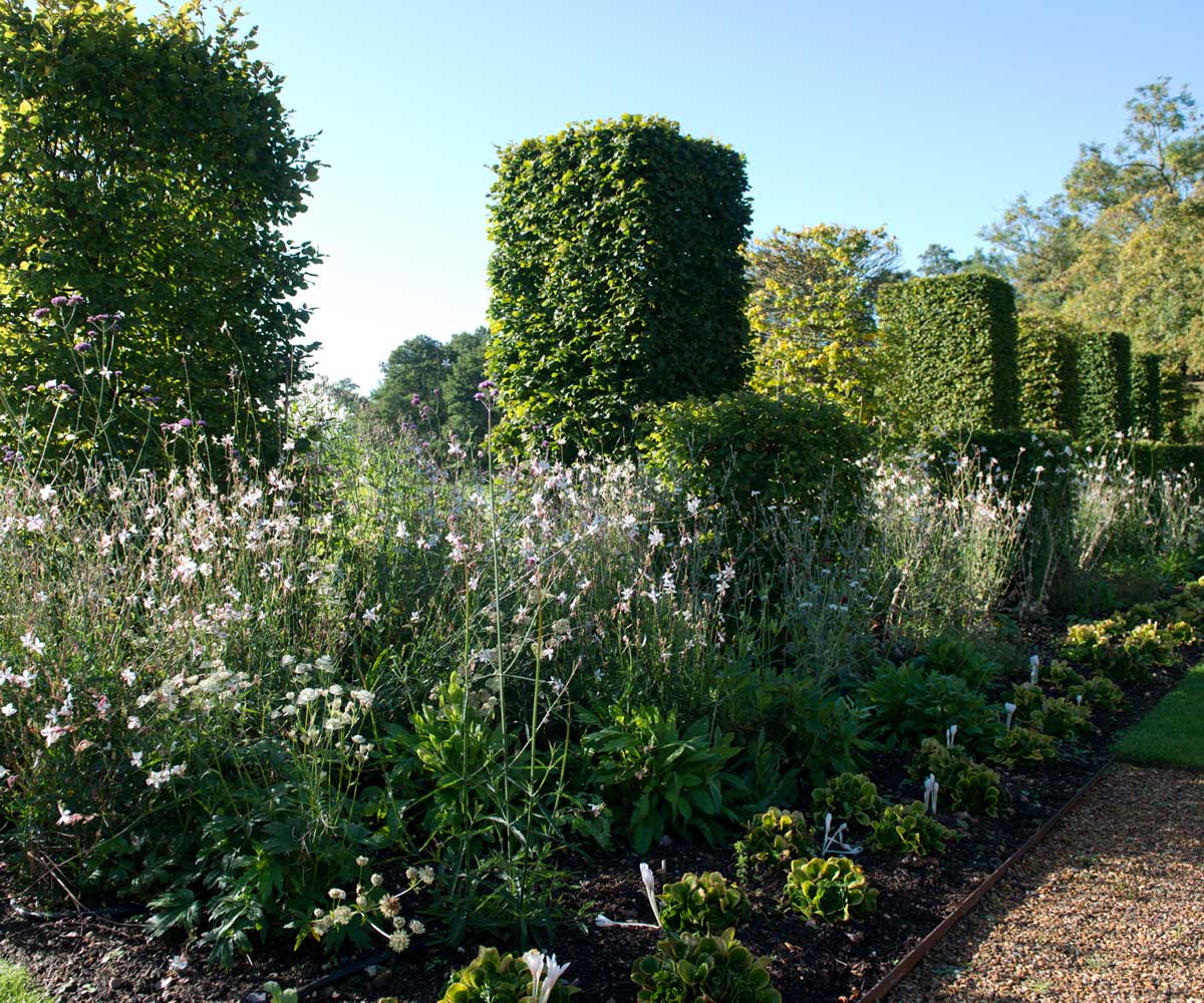 The extended herbaceous border