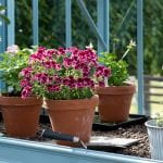 the bespoke green house