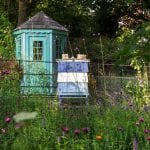 Bee Friendly Plantings