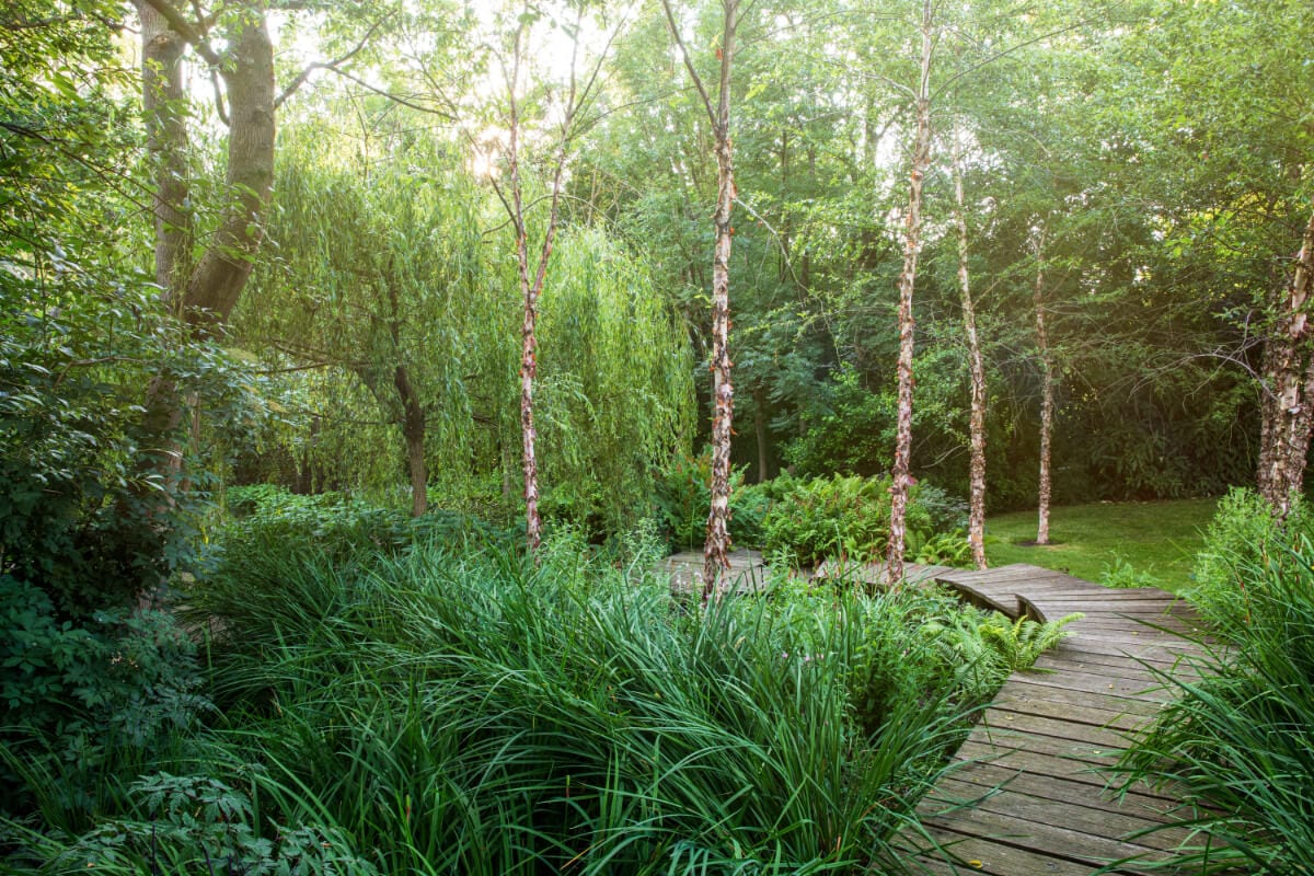 the boardwalk through the bog garden