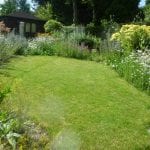 Six months after planting the meadow is blooming