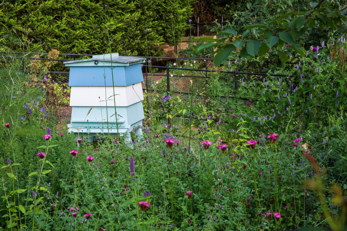 for the bees