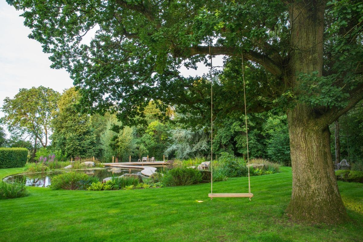 Pip's Pond Garden Design Co