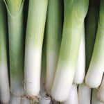 Leeks Leeks